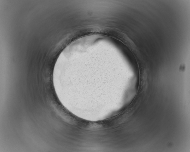 X0000113000257200909171413