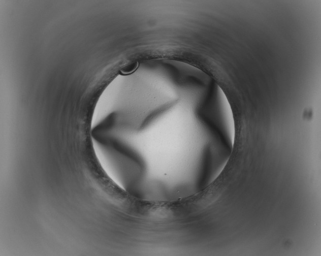 X0000113000258200909171413