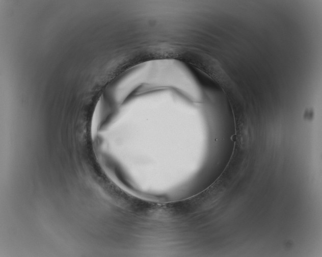 X0000113000259200909171413