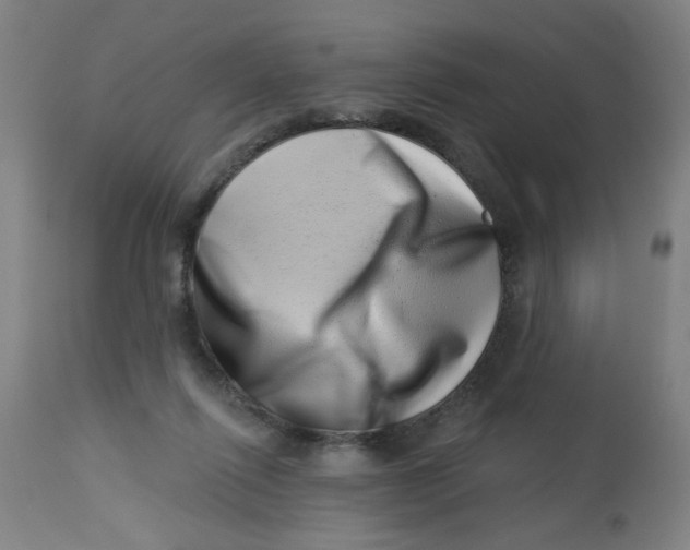 X0000113000262200909171413