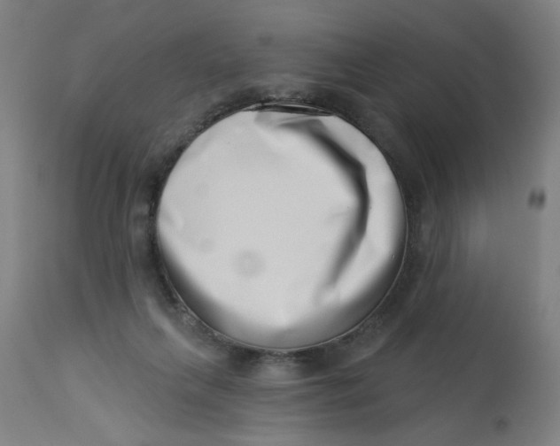 X0000113000263200909171413