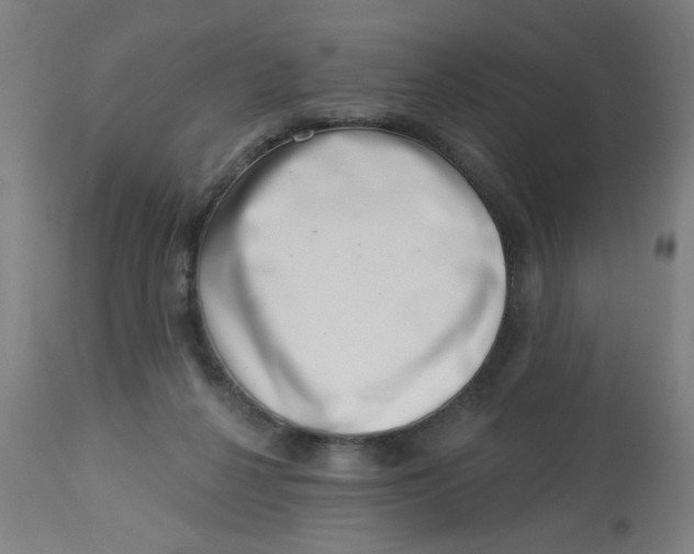 X0000113000264200909171413