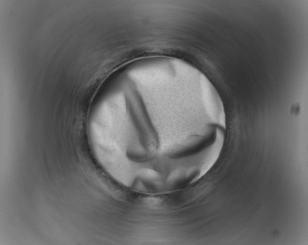 X0000113000265200909171413