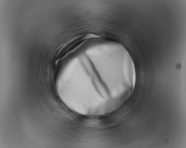 X0000113000266200909171413