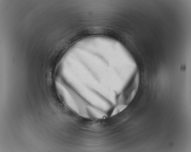 X0000113000267200909171413