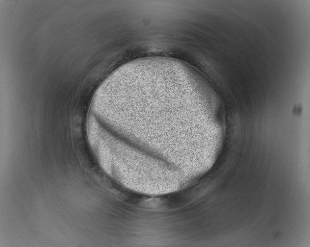 X0000113000269200909171413