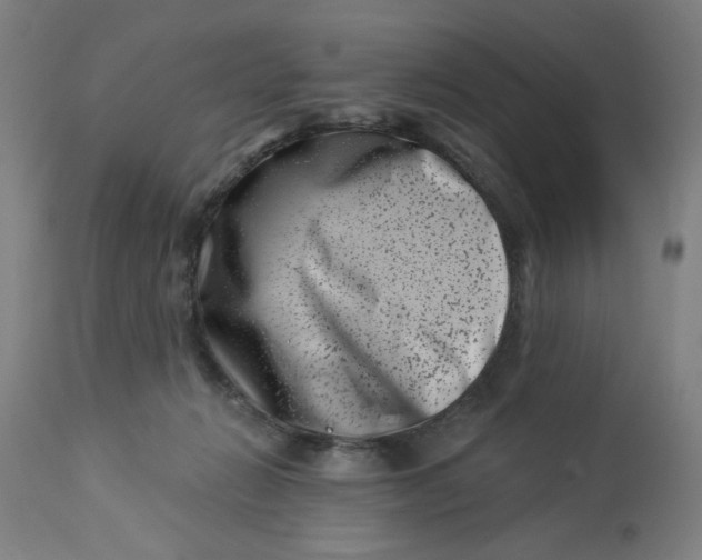 X0000113000270200909171413