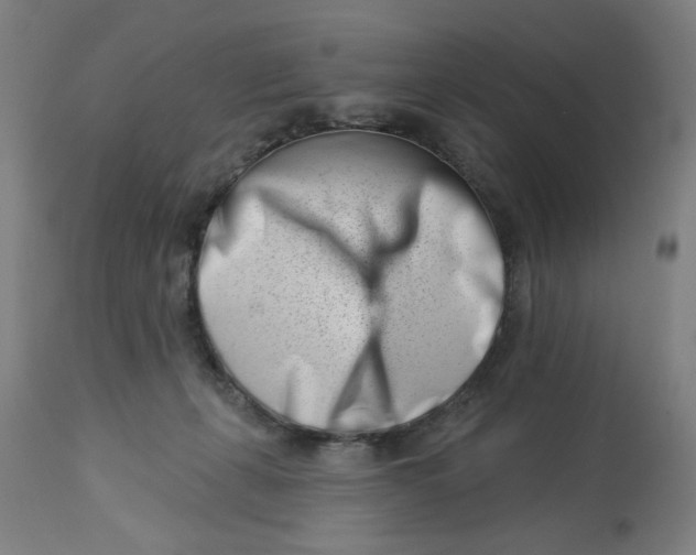 X0000113000271200909171413