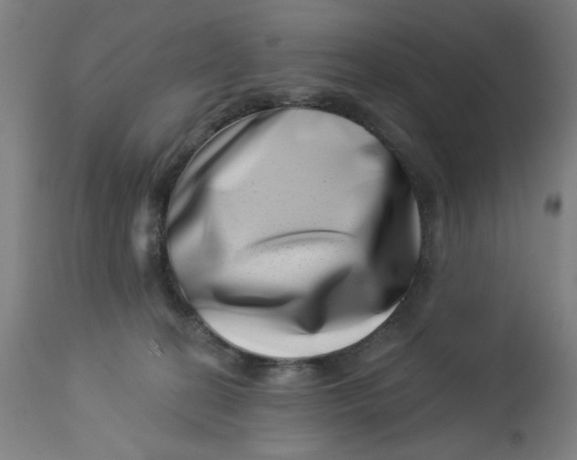 X0000113000274200909171413