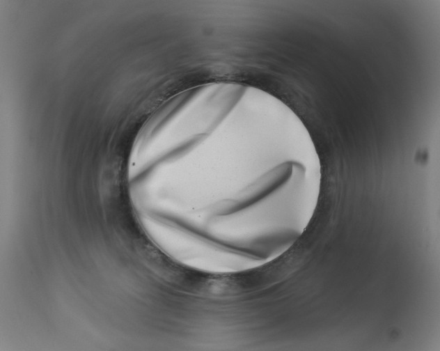 X0000113000275200909171413