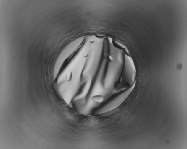 X0000113000276200909171413