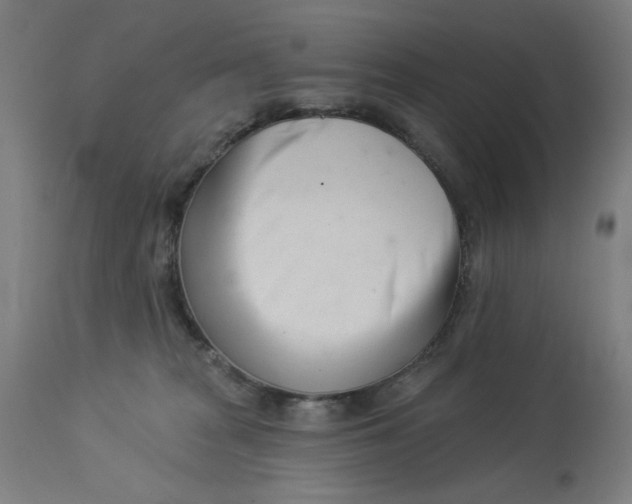 X0000113000277200909171413