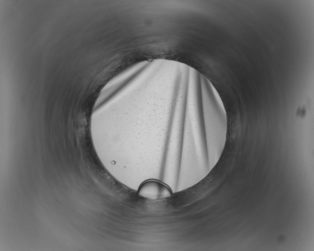 X0000113000279200909171413