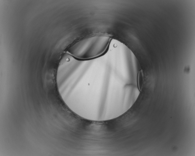 X0000113000280200909171413