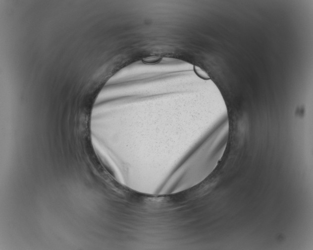 X0000113000281200909171413