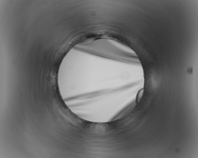 X0000113000282200909171413