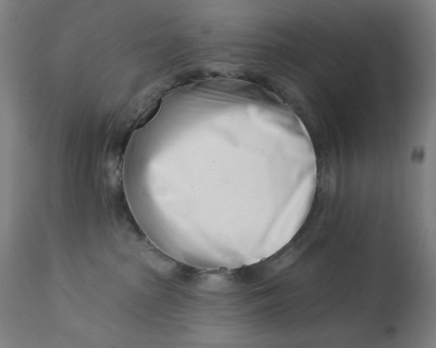 X0000113000285200909171413