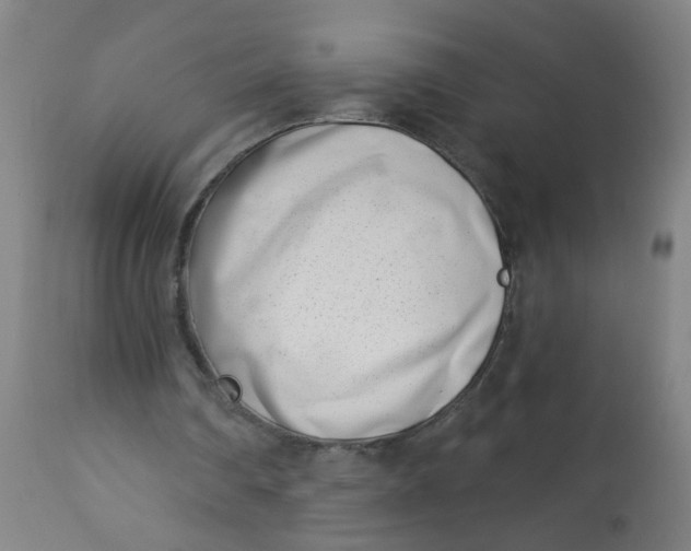 X0000113000290200909171413