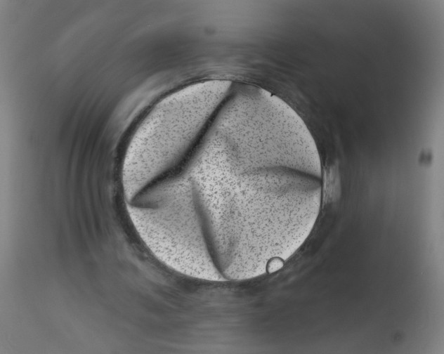 X0000113000291200909171413