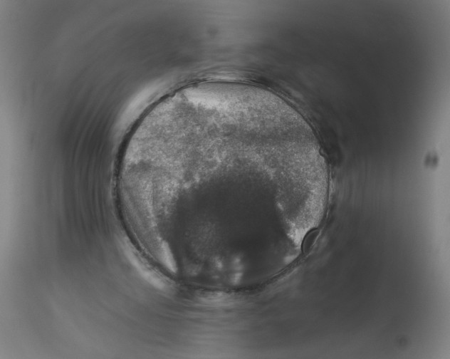 X0000113000293200909171413