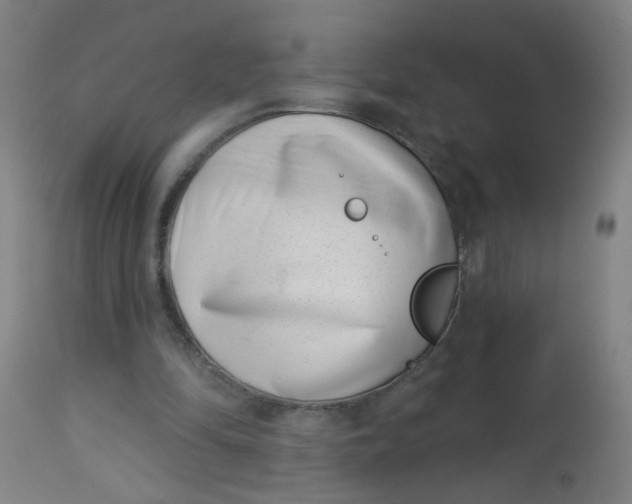 X0000113000294200909171413