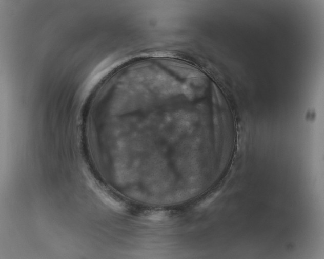 X0000113000295200909171413