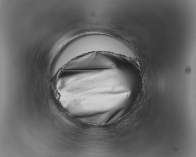 X0000113000296200909171412