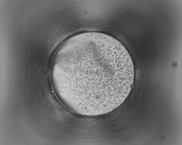 X0000113000297200909171412