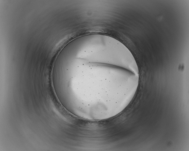 X0000113000298200909171412