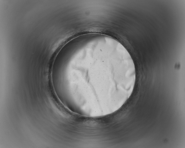 X0000113000299200909171412