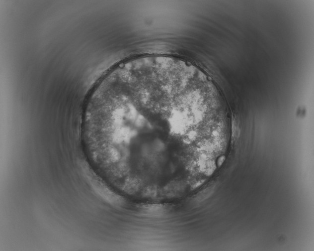 X0000113000301200909171412