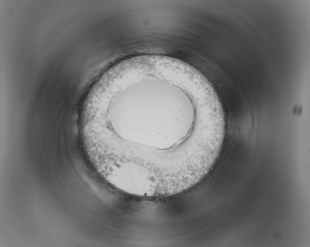 X0000113000302200909171412