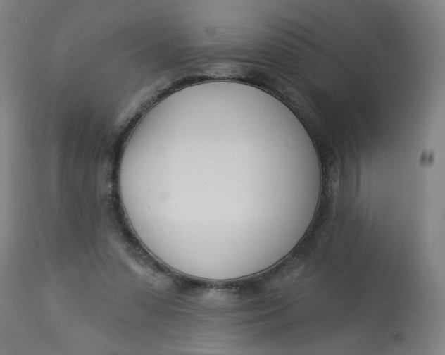 X0000113000303200909171412