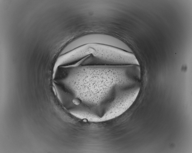 X0000113000305200909171412