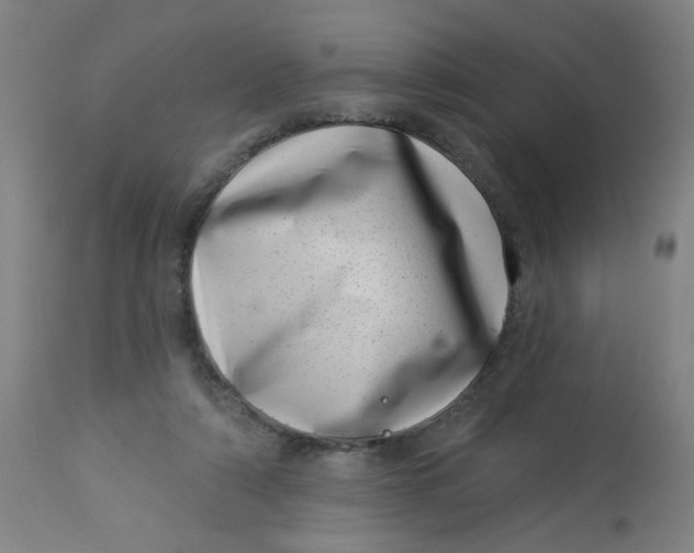 X0000113000306200909171412