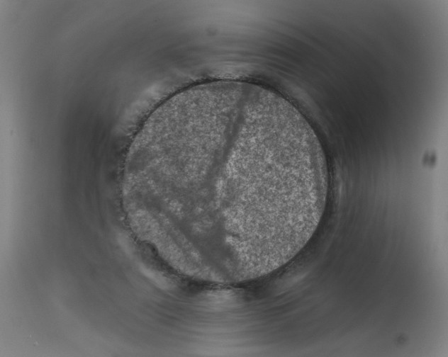 X0000113000307200909171412