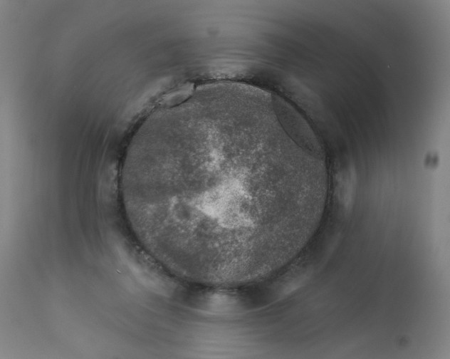 X0000113000308200909171412