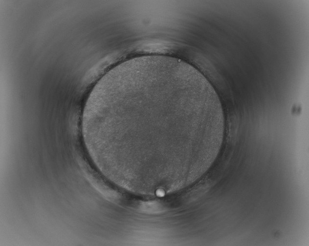 X0000113000309200909171412