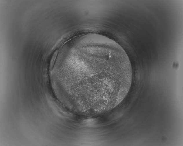 X0000113000312200909171412