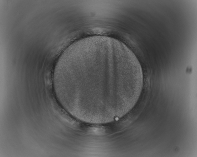 X0000113000317200909171412