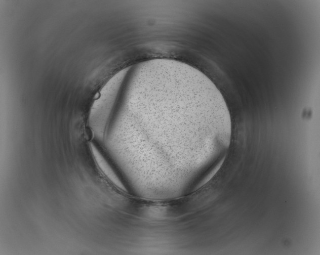 X0000113000318200909171412