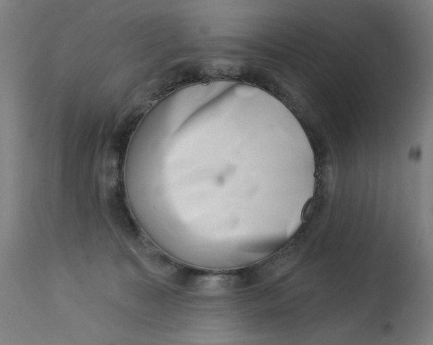 X0000113000323200909171412