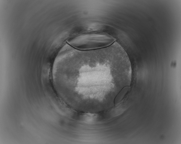 X0000113000328200909171412