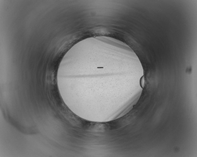 X0000113000330200909171412