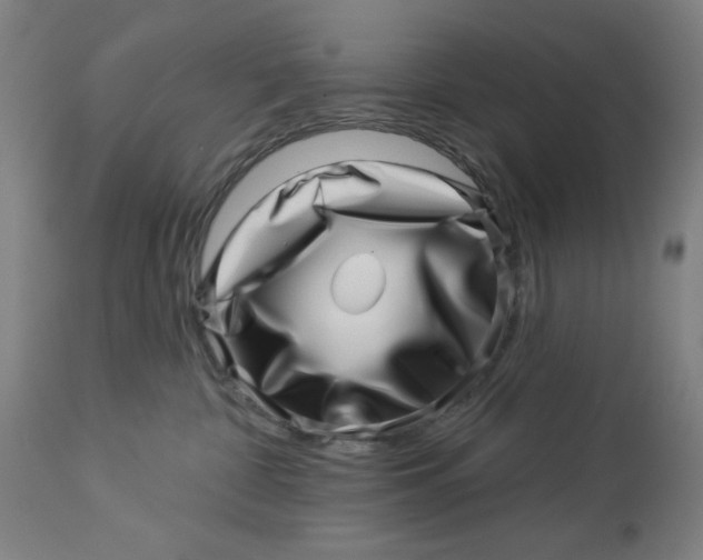 X0000113000332200909171412