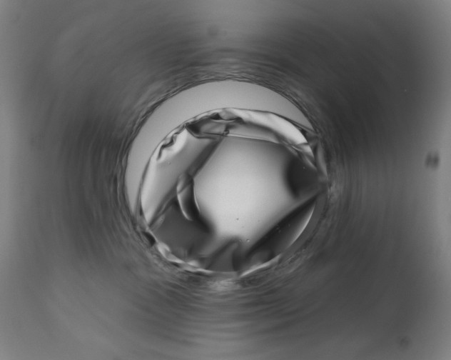 X0000113000333200909171412