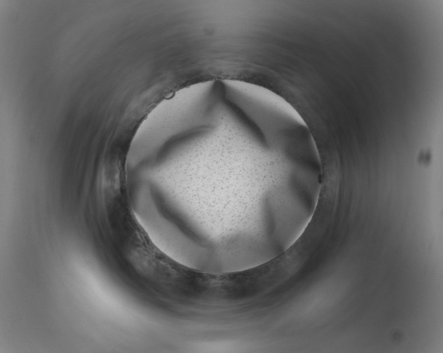 X0000113000334200909171412