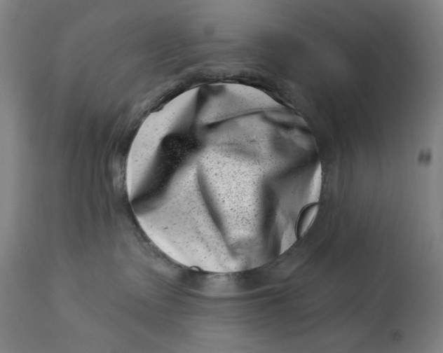 X0000113000335200909171412