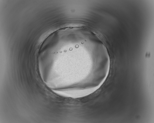 X0000113000337200909171411