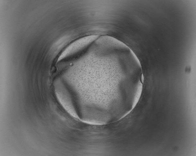 X0000113000338200909171411